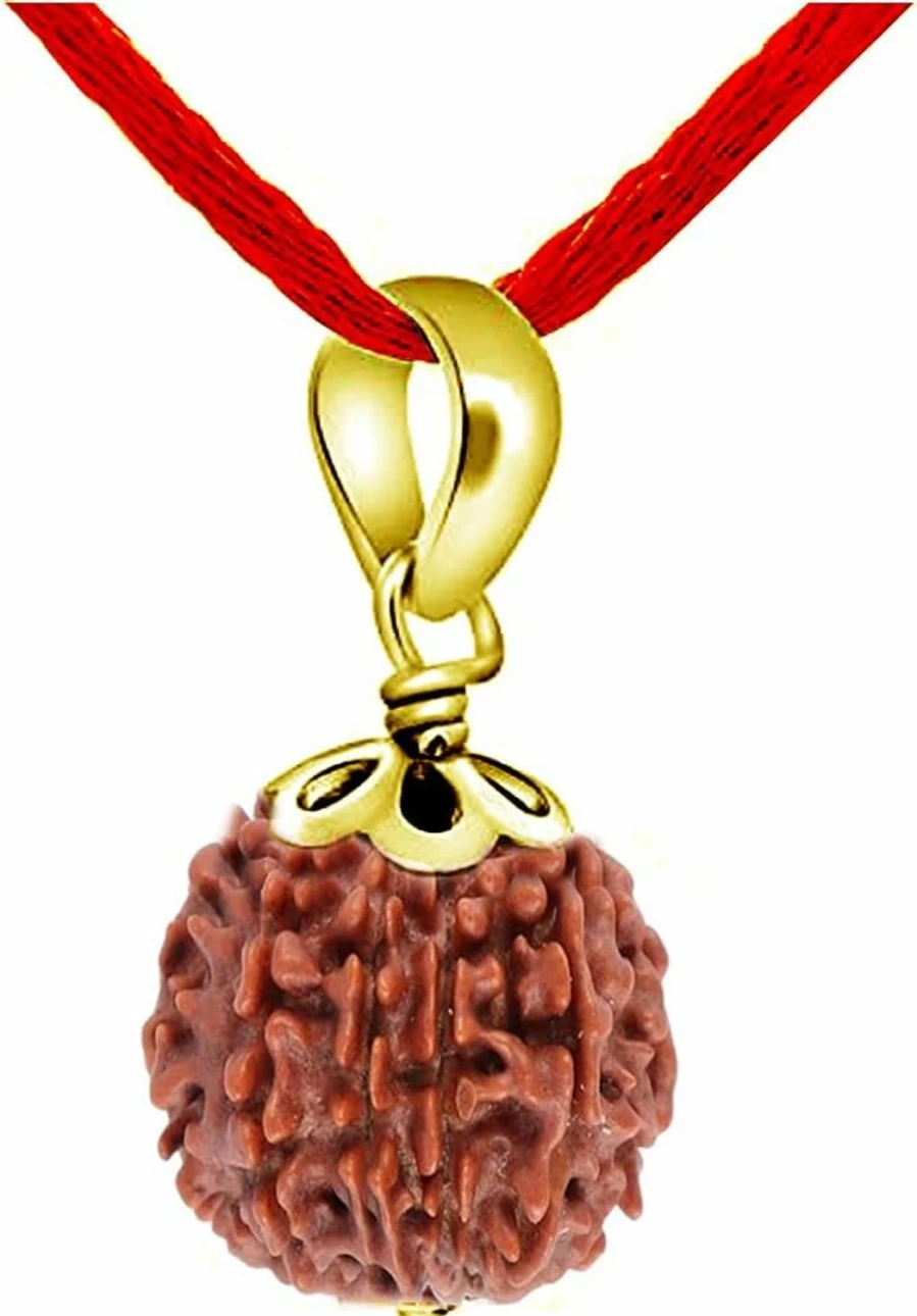 55Carat Natural Certified Nepali Rudraksha Pendant - 1 to 13 Mukhi - Yellow Gold Plated - Choose Your Design