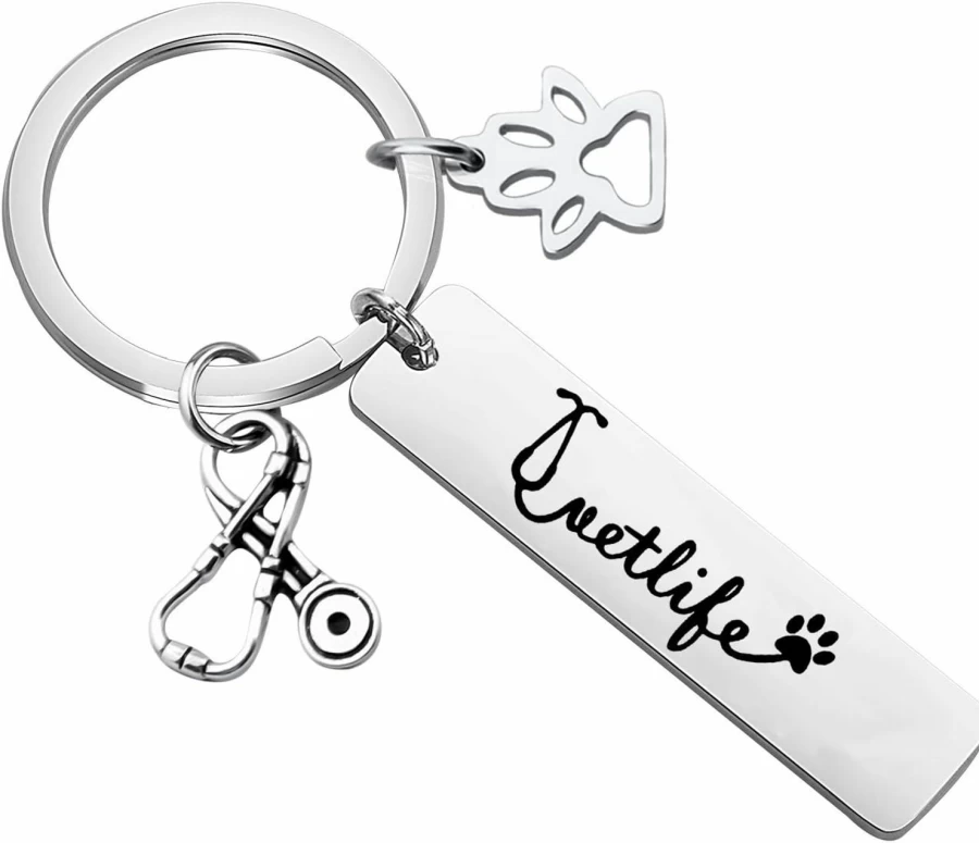 MYOSPARK Vet Tech Keychain - Veterinarian Gift with Paw Print Stethoscope Charm for Vet Nurse, Doctor Graduation & Appreciation