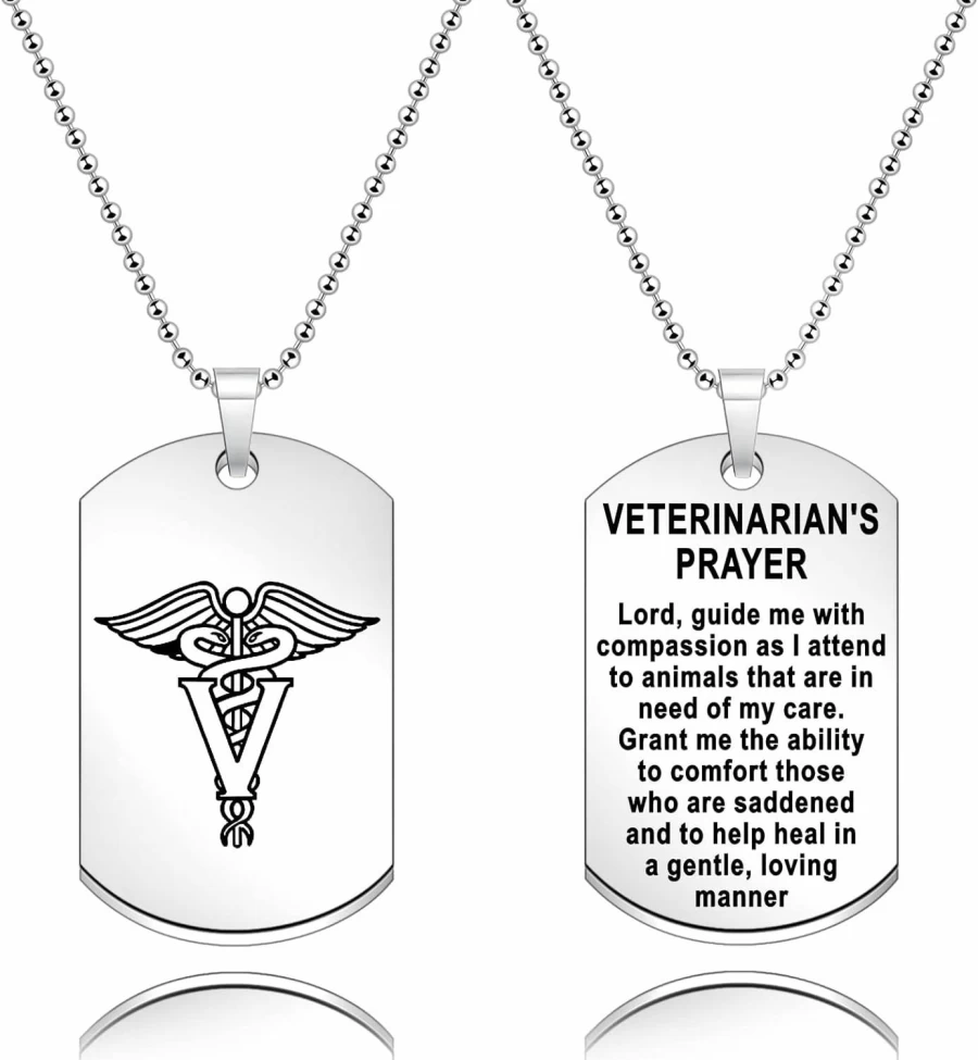 MTYCTWED Veterinarian Prayer Keychain - Thoughtful Vet Tech Jewelry Gift for Veterinary Professionals, Vet Birthday Present, Animal Lover Keepsake