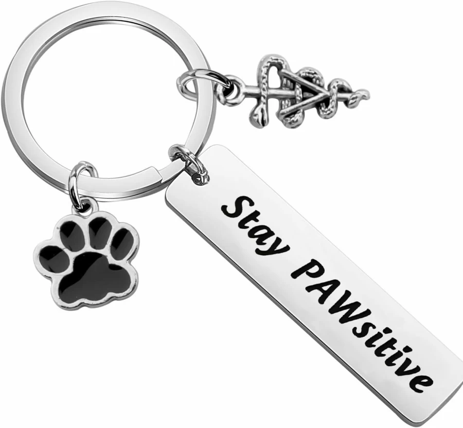 FAADBUK Veterinary Technician Keychain - Stay Pawsitive Vet Tech Gift for Graduation, Appreciation & Coworkers
